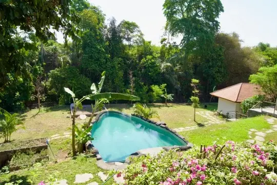 Divinepath Bali campus pool surrounded by tropical garden