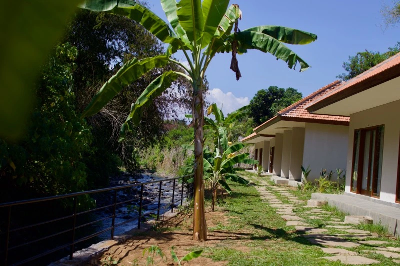 Yoga teacher training in Bali