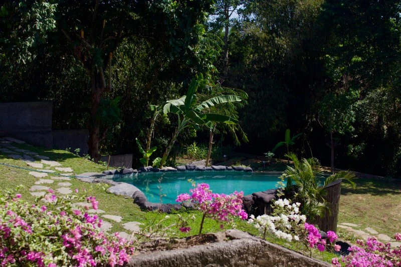 Bali Yoga teaching