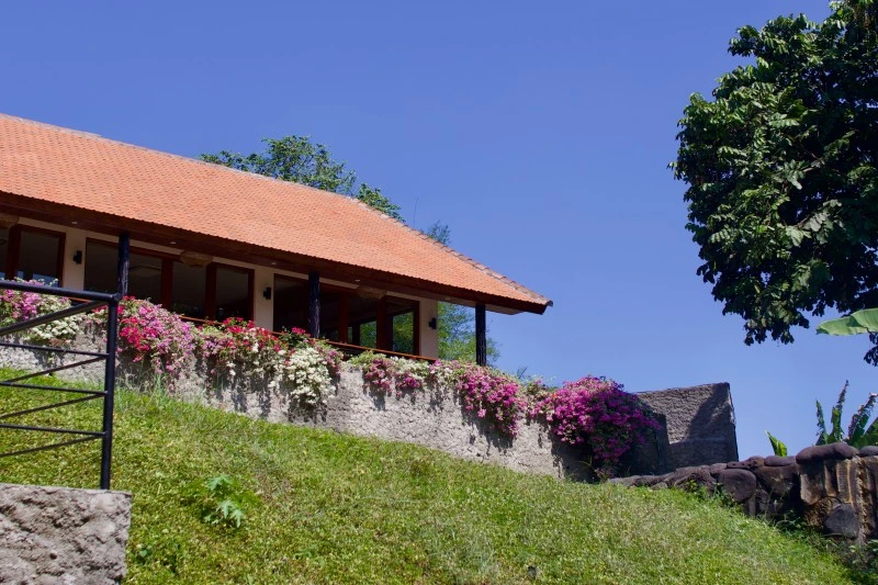 Bali Yoga teaching