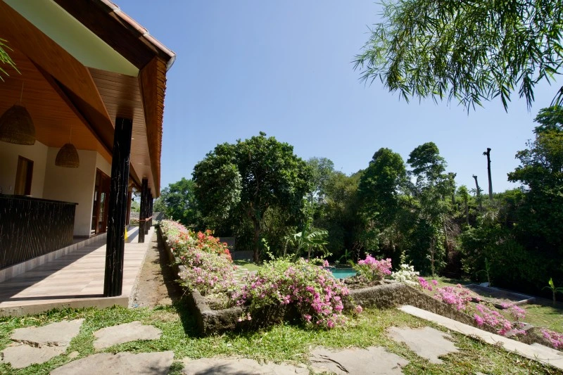 Bali Yoga teaching