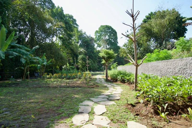 Bali Yoga teaching