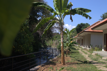 Lush green views from accommodations at Bali yoga retreat