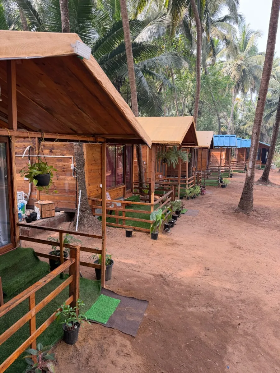 Wooden cottage pathway and coconut grove at DivinePath 300 hour YTT Goa campus