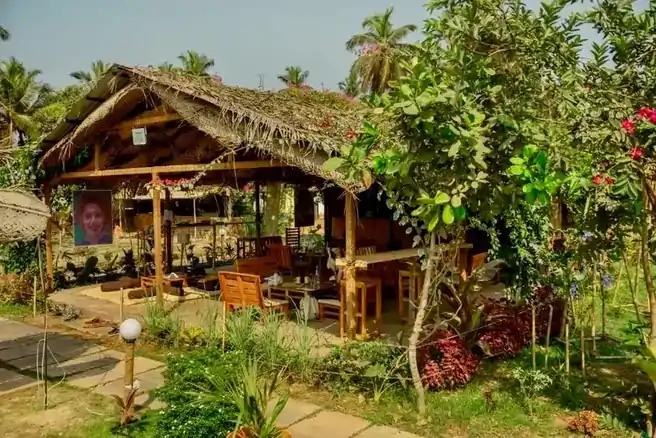 Yoga shala view for advanced 300 hour TTC Goa