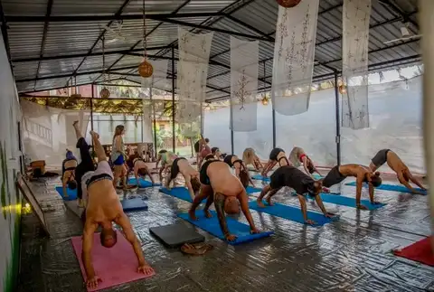500 hour yoga teacher training Goa — DivinePath campus near Arambol (photo 5)