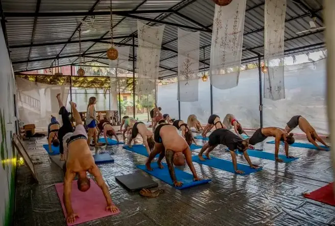 Goa yoga campus exterior and common area